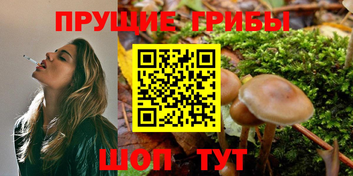 Алушта  Псилоцибиновые грибы Magic Shrooms  Вход с VPN 