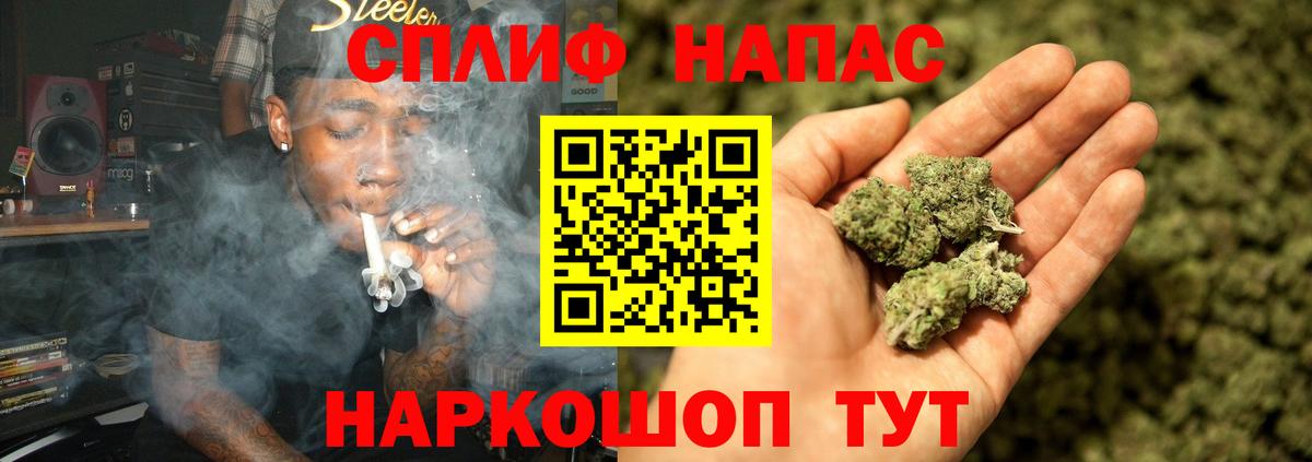 Бошки Шишки конопля Алушта